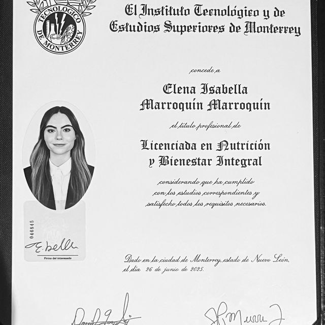 Ampliar imagen: certificate 1
