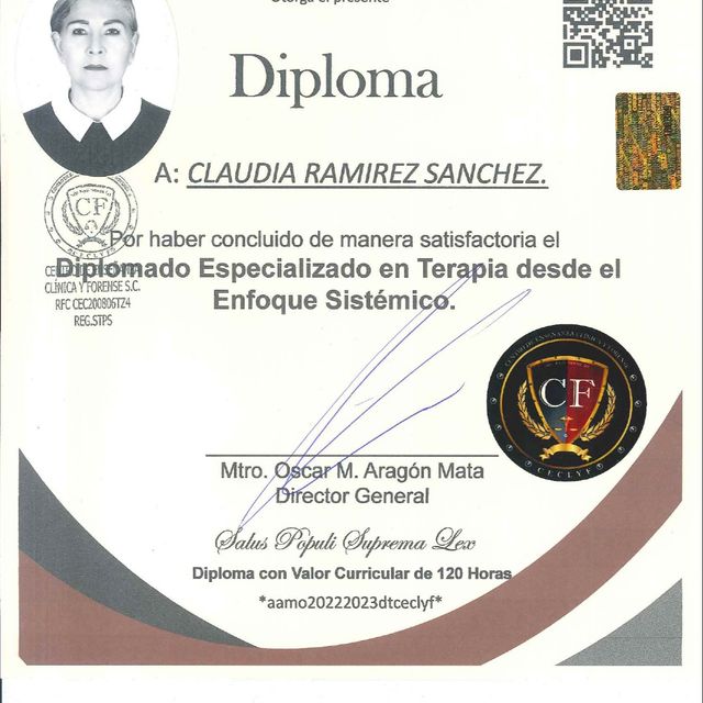 Ampliar imagen: certificate 3