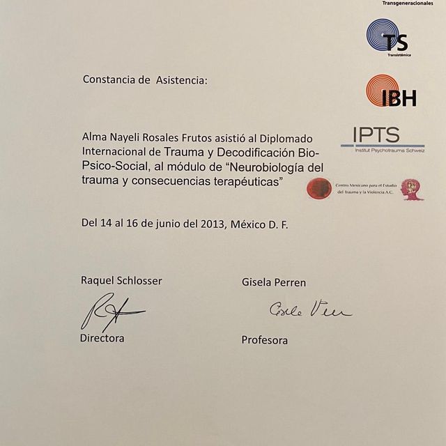 Ampliar imagen: certificate 5