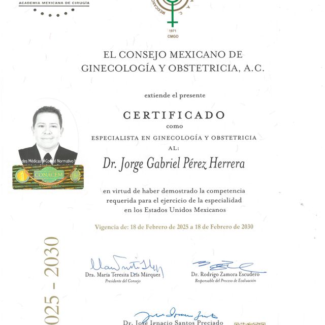Ampliar imagen: certificate 1