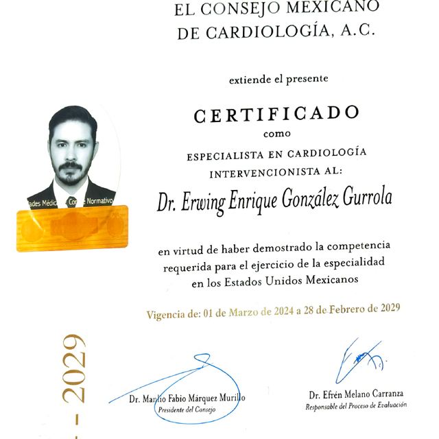 Ampliar imagen: certificate 2