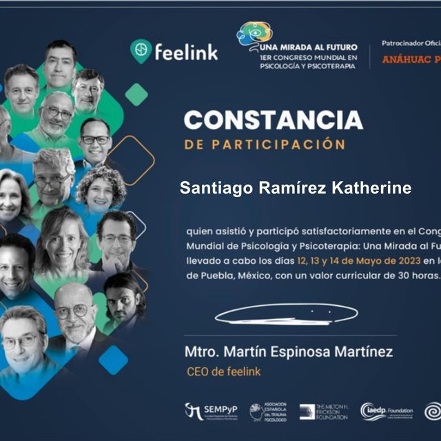 Ampliar imagen: certificate 5