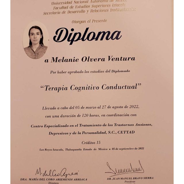 Ampliar imagen: certificate 4