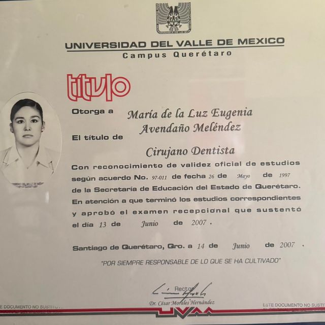 Ampliar imagen: certificate 4
