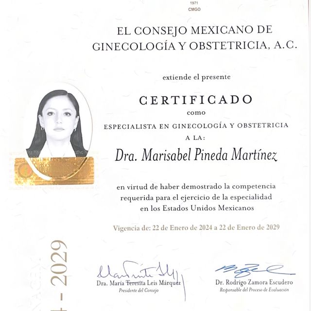 Ampliar imagen: certificate 1