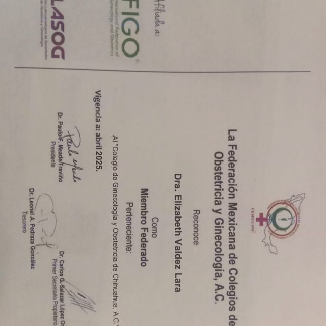 Ampliar imagen: certificate 9