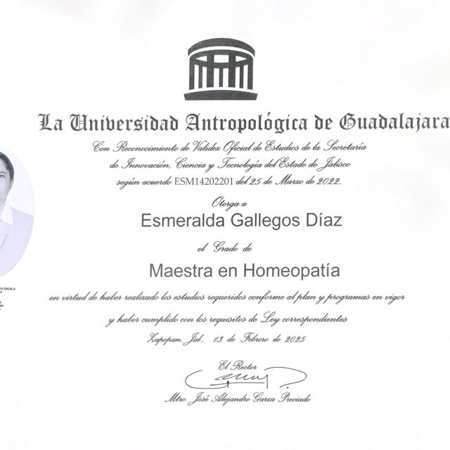 Ampliar imagen: certificate 10