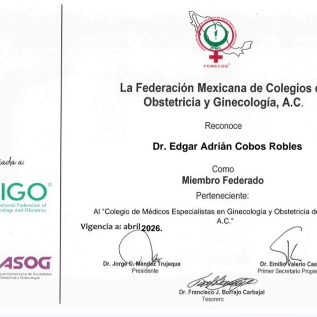Ampliar imagen: certificate 3