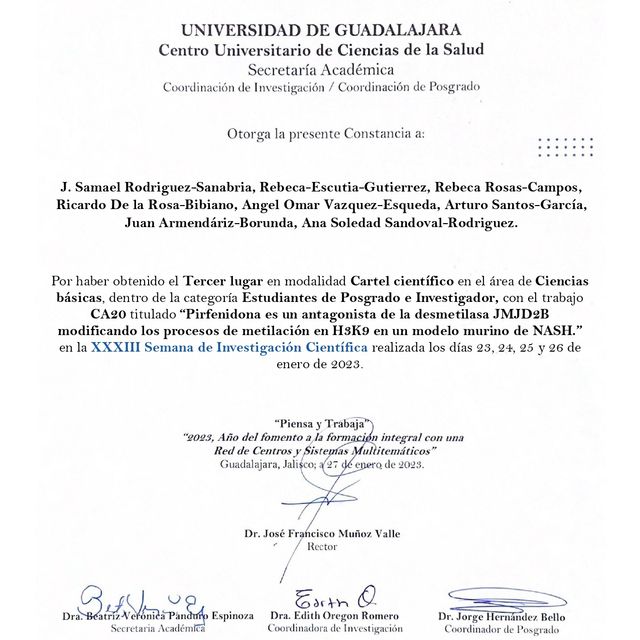 Ampliar imagen: certificate 3