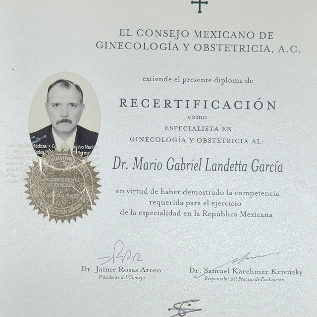 Ampliar imagen: certificate 24