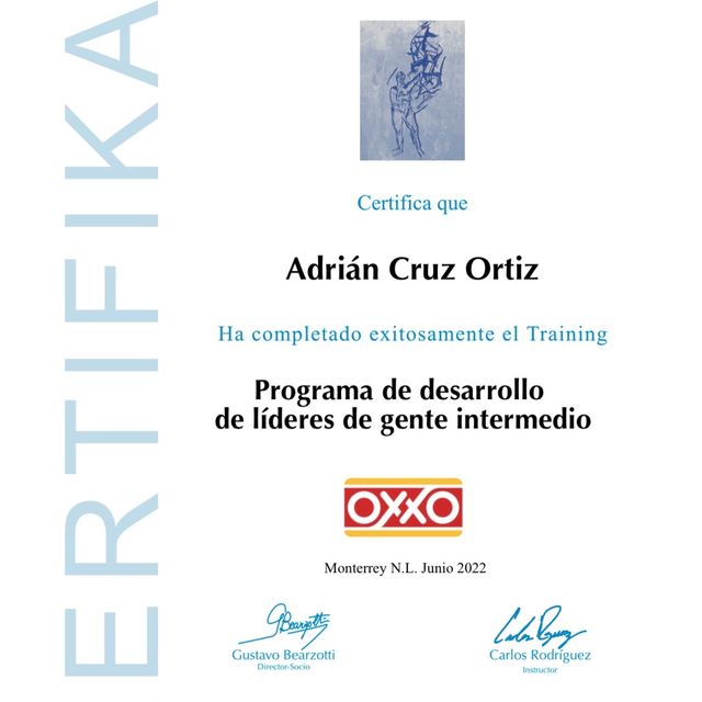 Ampliar imagen: certificate 28
