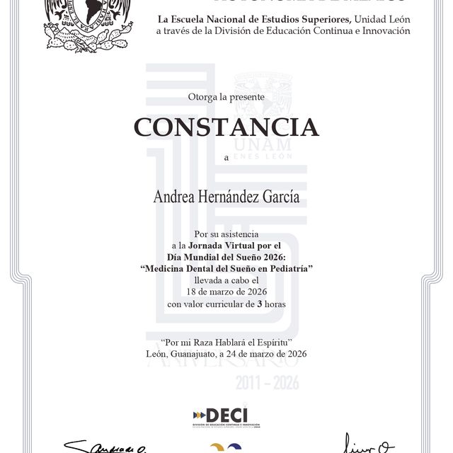 Ampliar imagen: certificate 1