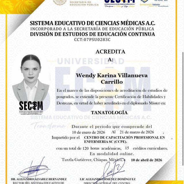 Ampliar imagen: certificate 29