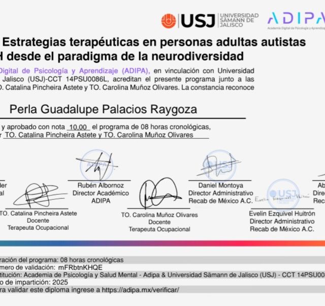 Ampliar imagen: certificate 5