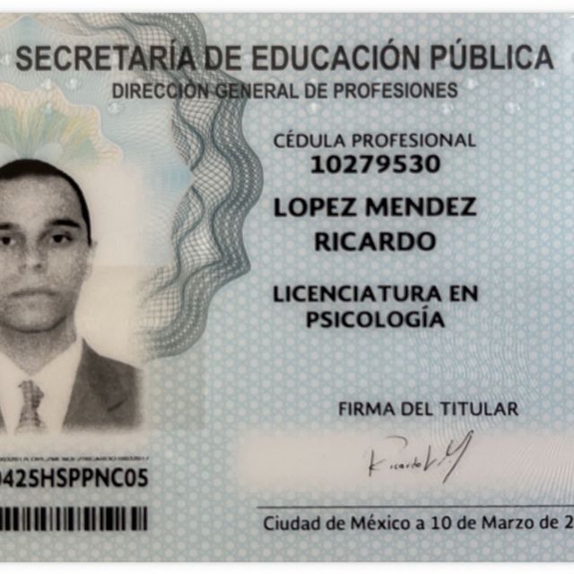 Ampliar imagen: certificate 5