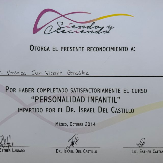 Ampliar imagen: certificate 11