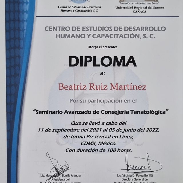 Ampliar imagen: certificate 9