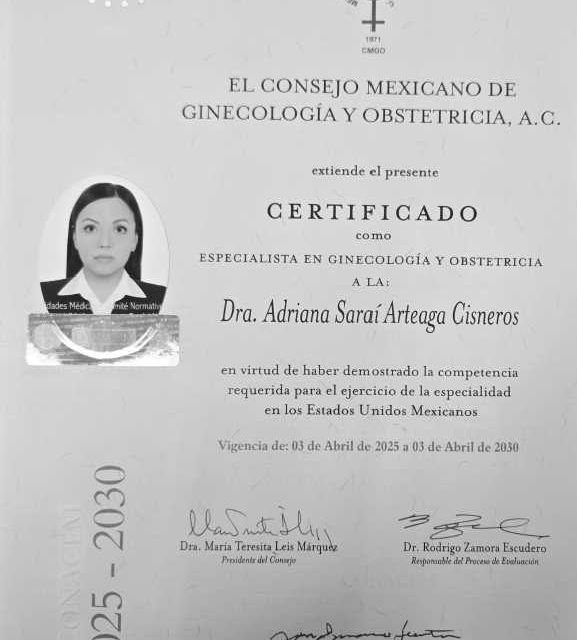 Ampliar imagen: certificate 1