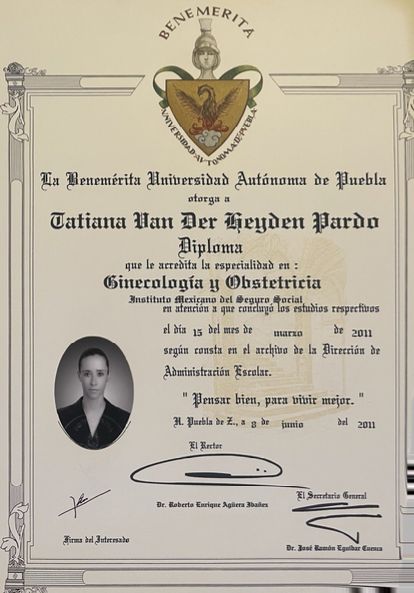 Ampliar imagen: certificate 1