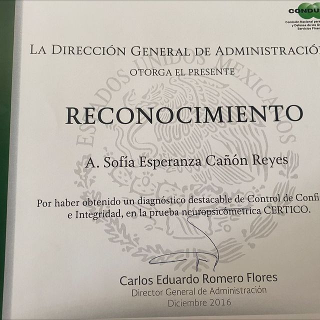 Ampliar imagen: certificate 8