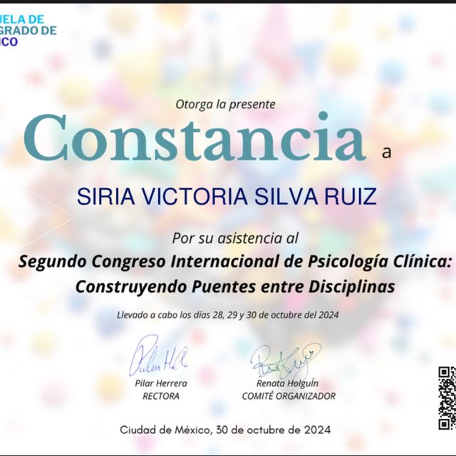 Ampliar imagen: certificate 3