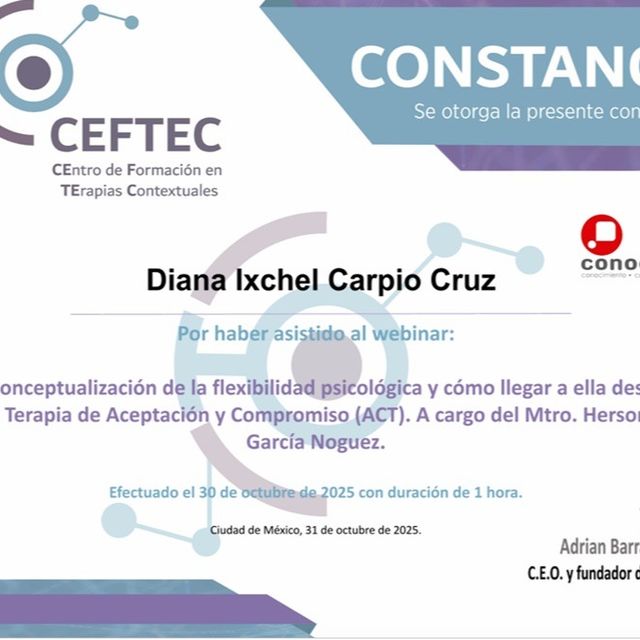 Ampliar imagen: certificate 2