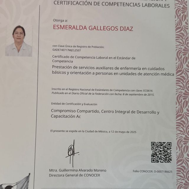 Ampliar imagen: certificate 1