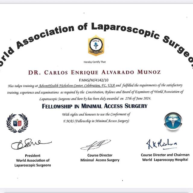 Ampliar imagen: certificate 2