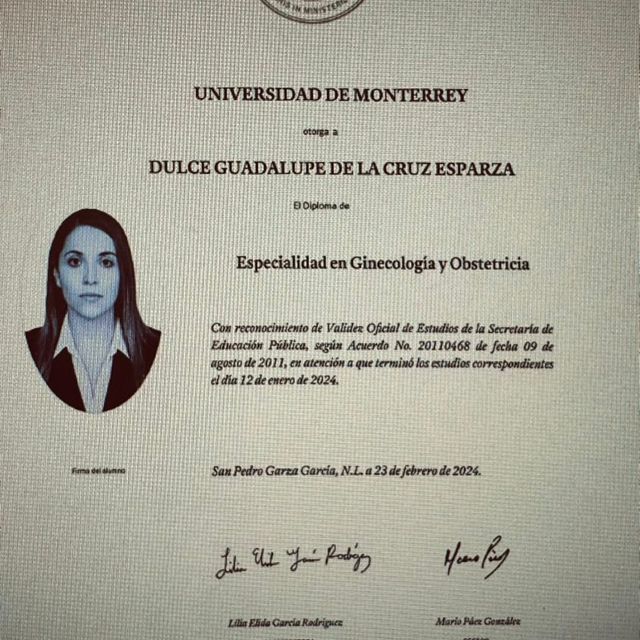Ampliar imagen: certificate 3