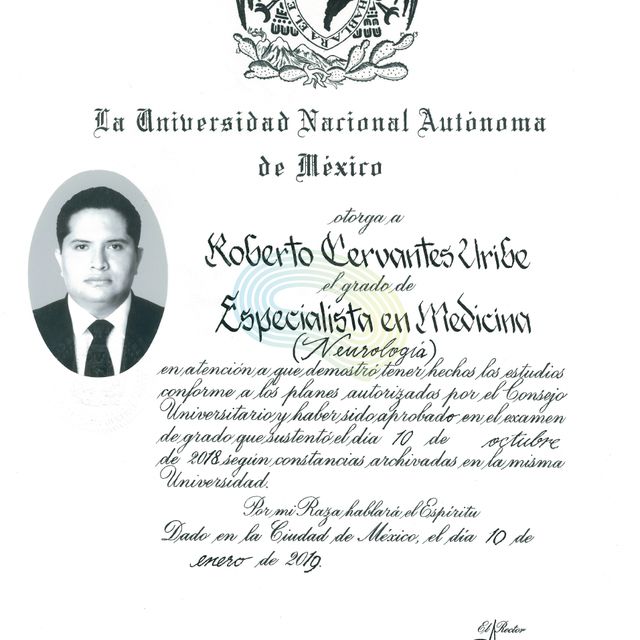 Ampliar imagen: certificate 7
