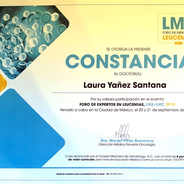 Ampliar imagen: certificate 6