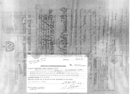 Ampliar imagen: certificate 4
