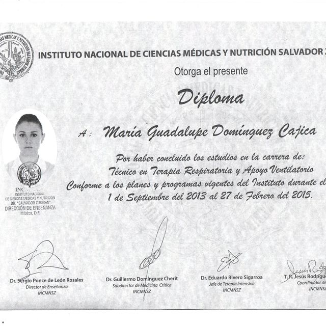 Ampliar imagen: certificate 2
