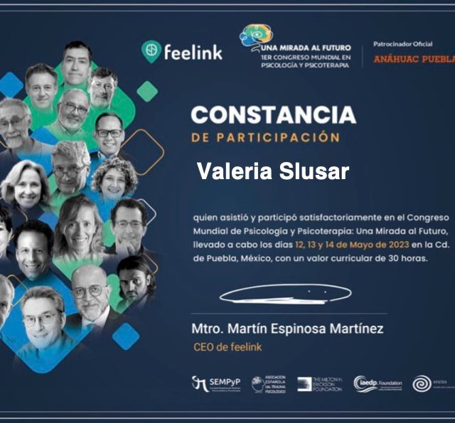 Ampliar imagen: certificate 3