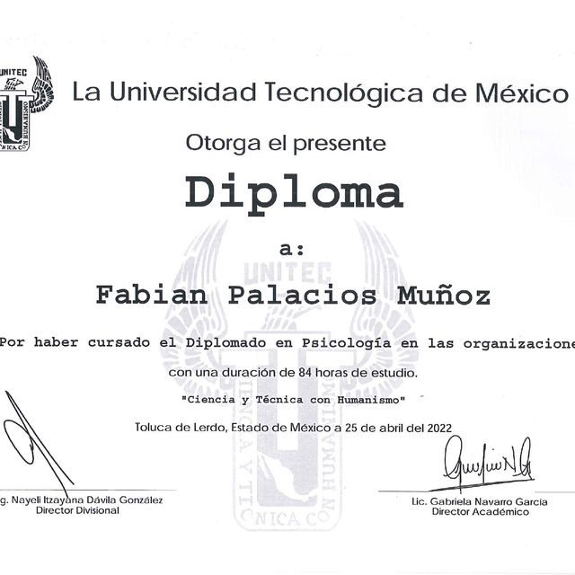 Ampliar imagen: certificate 5