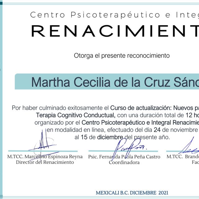 Ampliar imagen: certificate 4