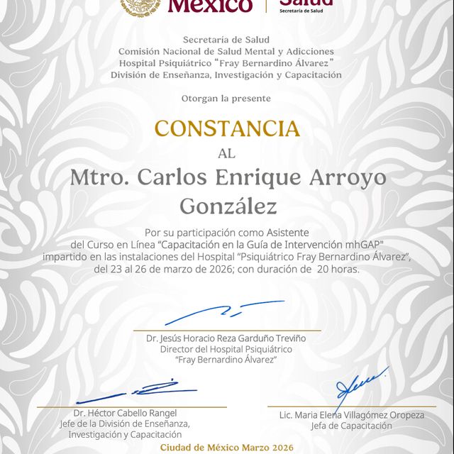 Ampliar imagen: certificate 8