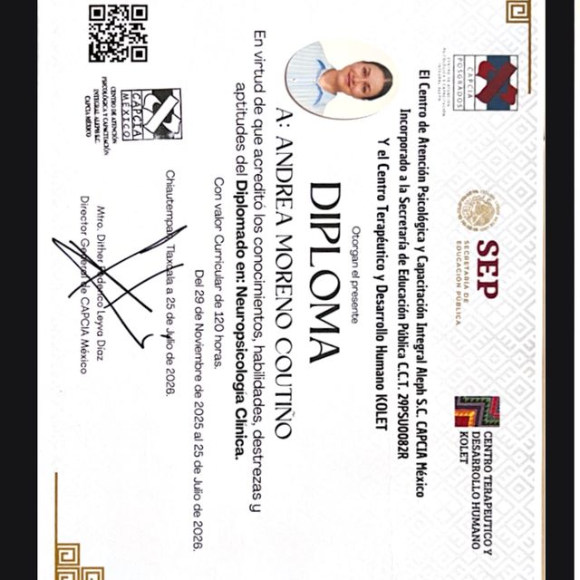 Ampliar imagen: certificate 14