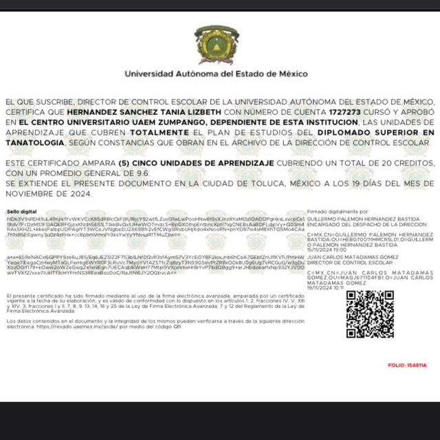 Ampliar imagen: certificate 2