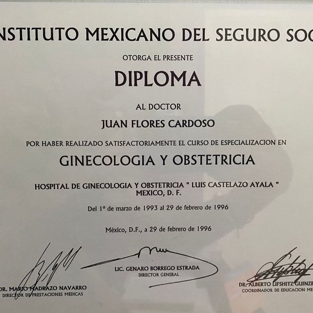 Ampliar imagen: certificate 3