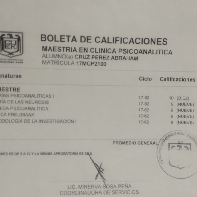 Ampliar imagen: certificate 3