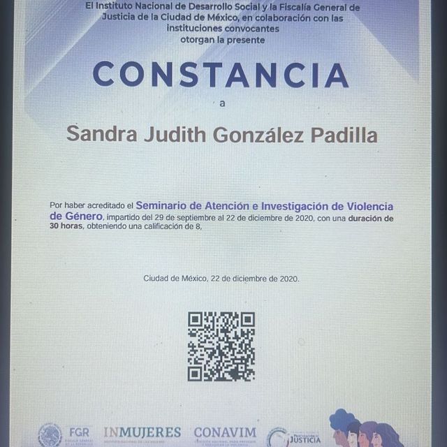 Ampliar imagen: certificate 2