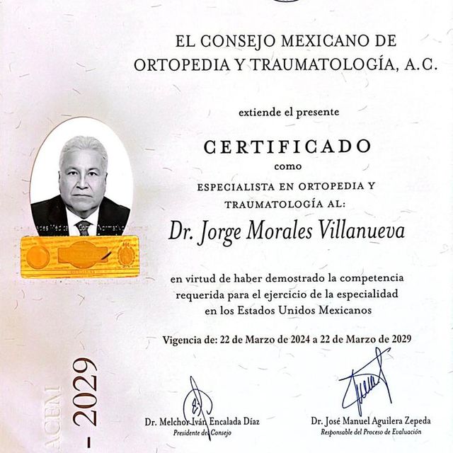 Ampliar imagen: certificate 1
