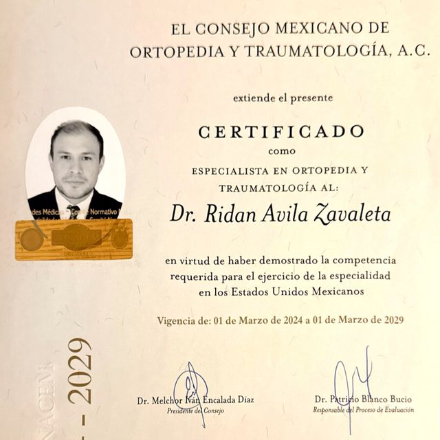 Ampliar imagen: certificate 1