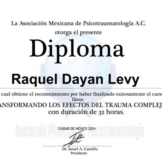 Ampliar imagen: certificate 3