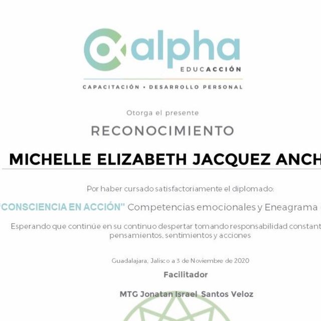 Ampliar imagen: certificate 29