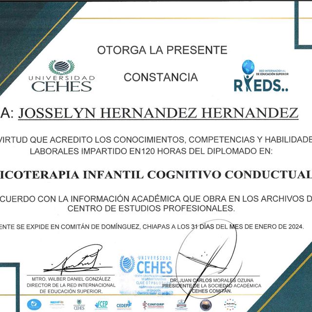 Ampliar imagen: certificate 1