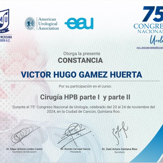Ampliar imagen: certificate 5
