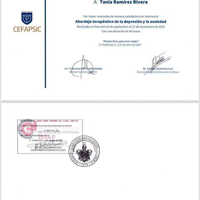 Ampliar imagen: certificate 4