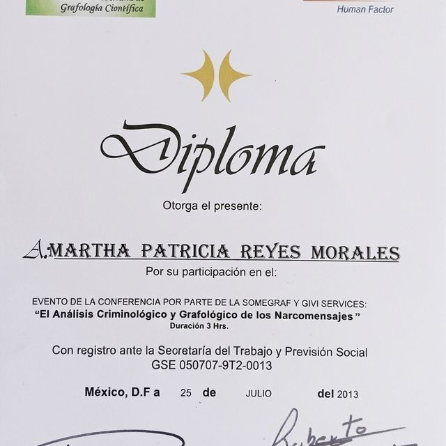 Ampliar imagen: certificate 19